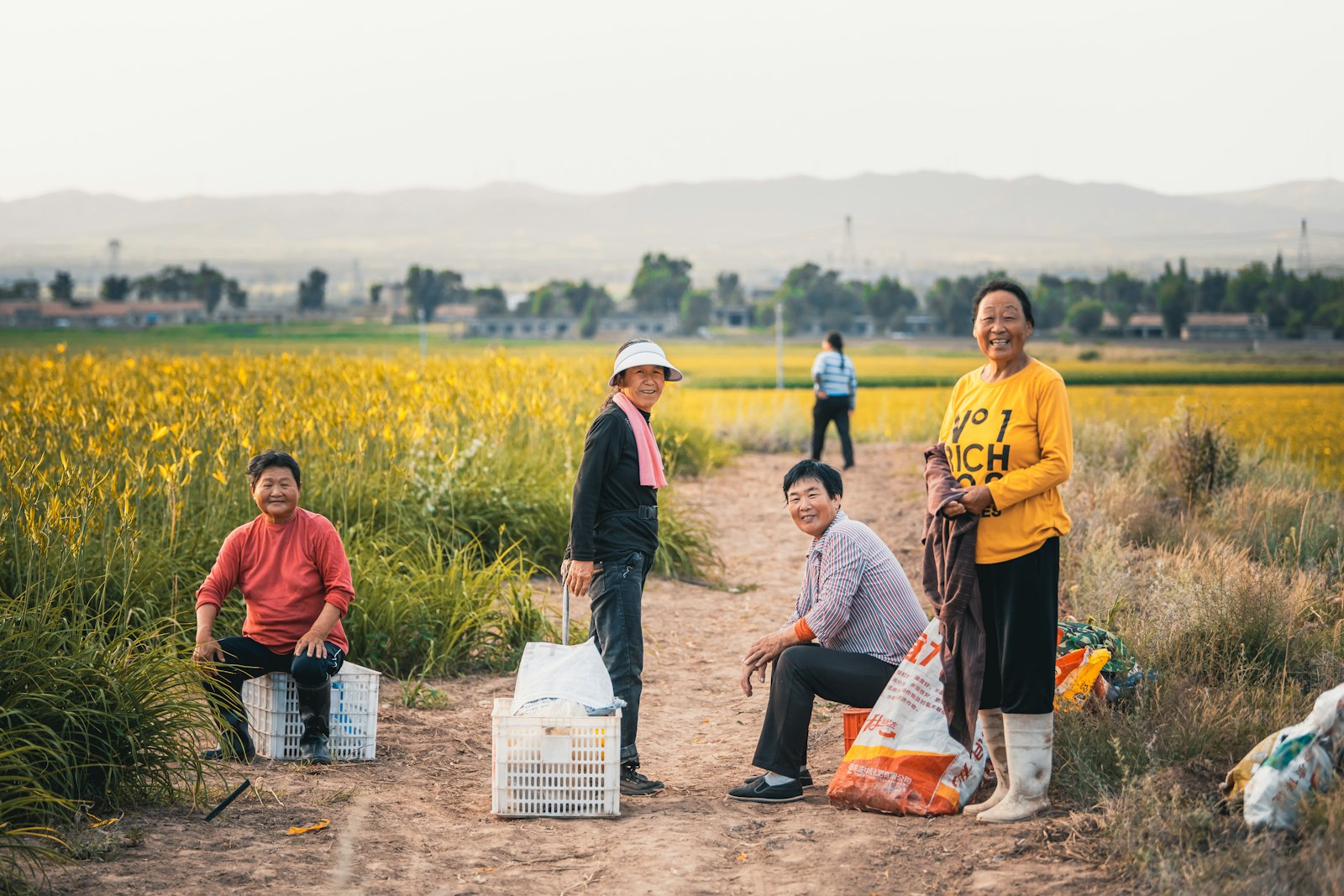 An elderly farmer walking a field at golden hour